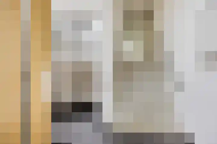 Kagerstraat 5 C 6 Leiden thumbnail 6