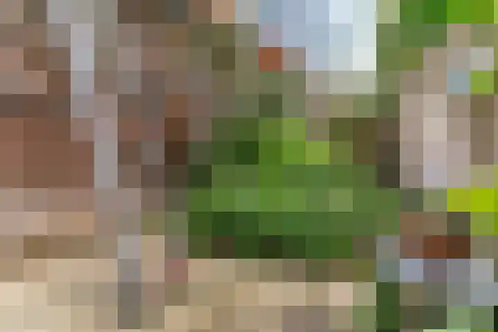 Kaiserstraat 34 Leiden thumbnail 33