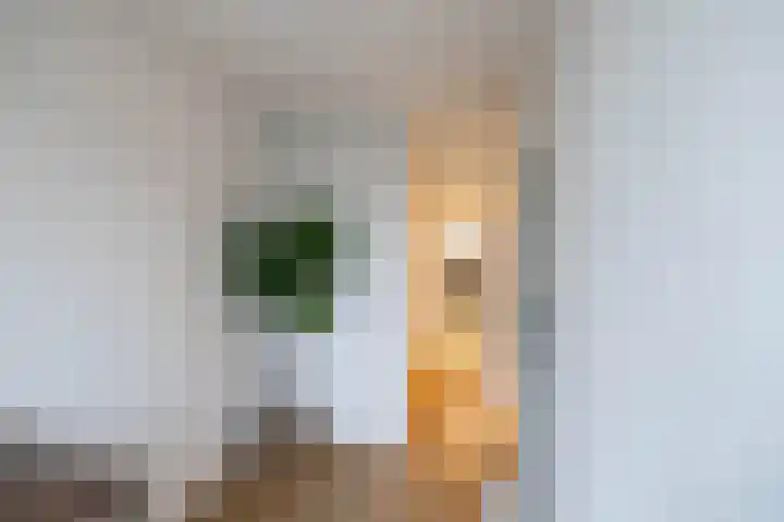 Kajuit 12 Groningen thumbnail 28
