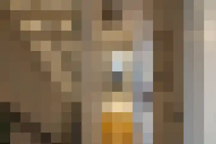 Kajuit 12 Groningen thumbnail 29