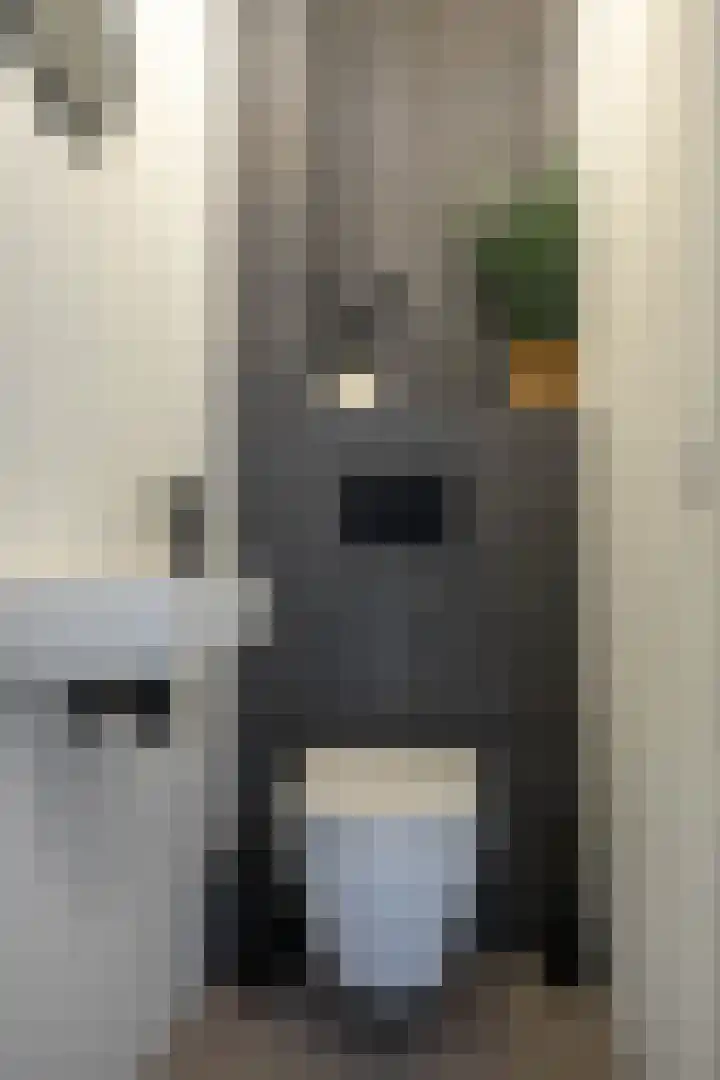 Kajuit 12 Groningen thumbnail 41