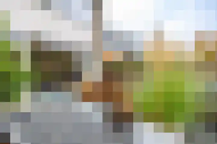 Kajuit 12 Groningen thumbnail 42