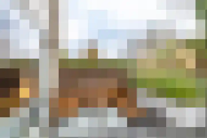 Kajuit 12 Groningen thumbnail 43