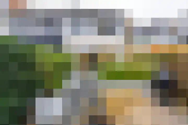 Kajuit 12 Groningen thumbnail 45