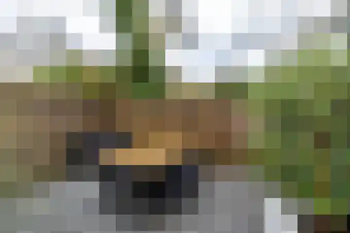 Kajuit 12 Groningen thumbnail 47
