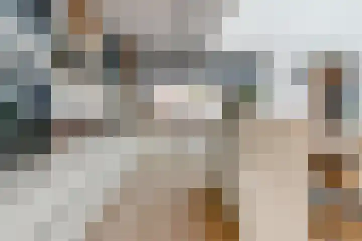 Kajuit 15 Almere thumbnail 11