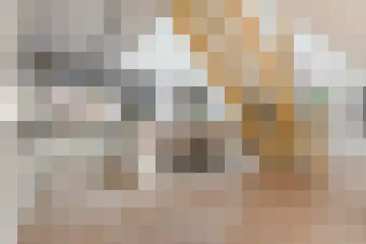 Kajuit 15 Almere thumbnail 17