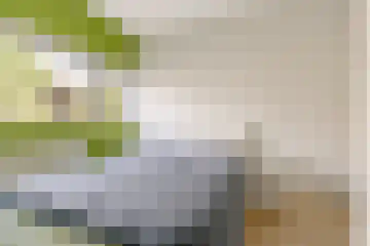 Kajuit 15 Almere thumbnail 34