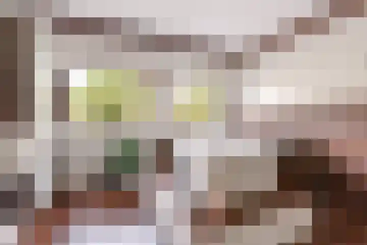 Kajuit 15 Almere thumbnail 35