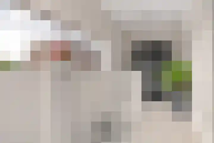 Kajuit 15 Almere thumbnail 37
