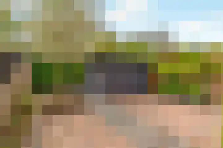 Kajuit 15 Almere thumbnail 4