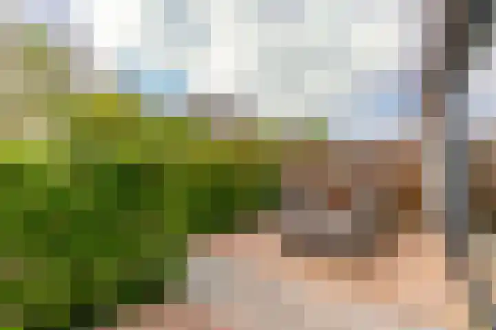 Kajuit 15 Almere thumbnail 41