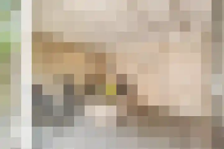 Kajuit 22 Nijkerk thumbnail 26