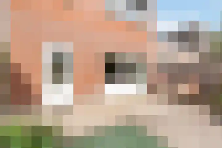 Kajuit 22 Nijkerk thumbnail 27