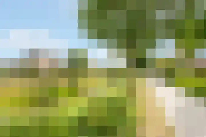 Kajuit 22 Nijkerk thumbnail 29