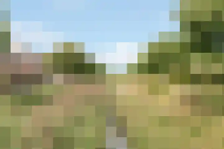 Kajuit 22 Nijkerk thumbnail 30