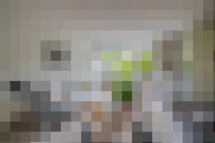 Kalander 38 Wormer thumbnail 11