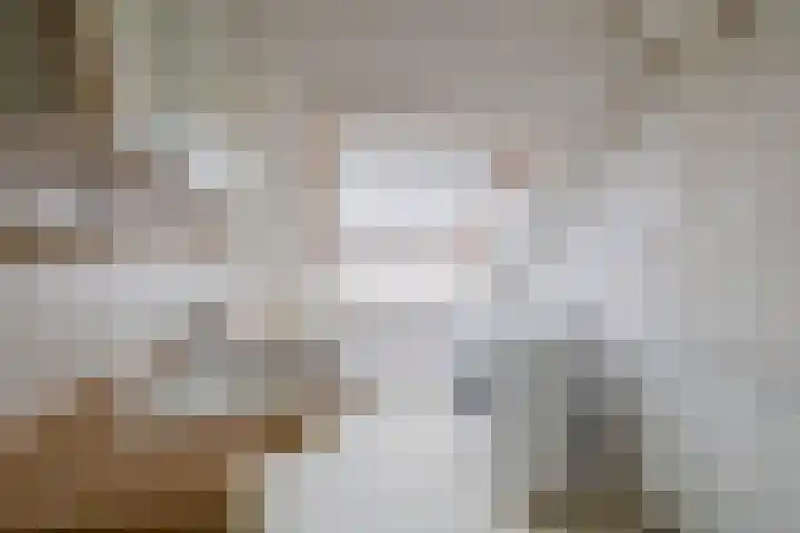 Kalander 38 Wormer thumbnail 17