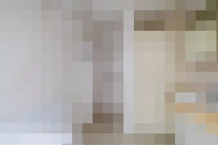 Kalander 38 Wormer thumbnail 18