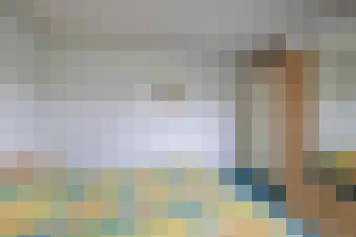 Kalander 38 Wormer thumbnail 21