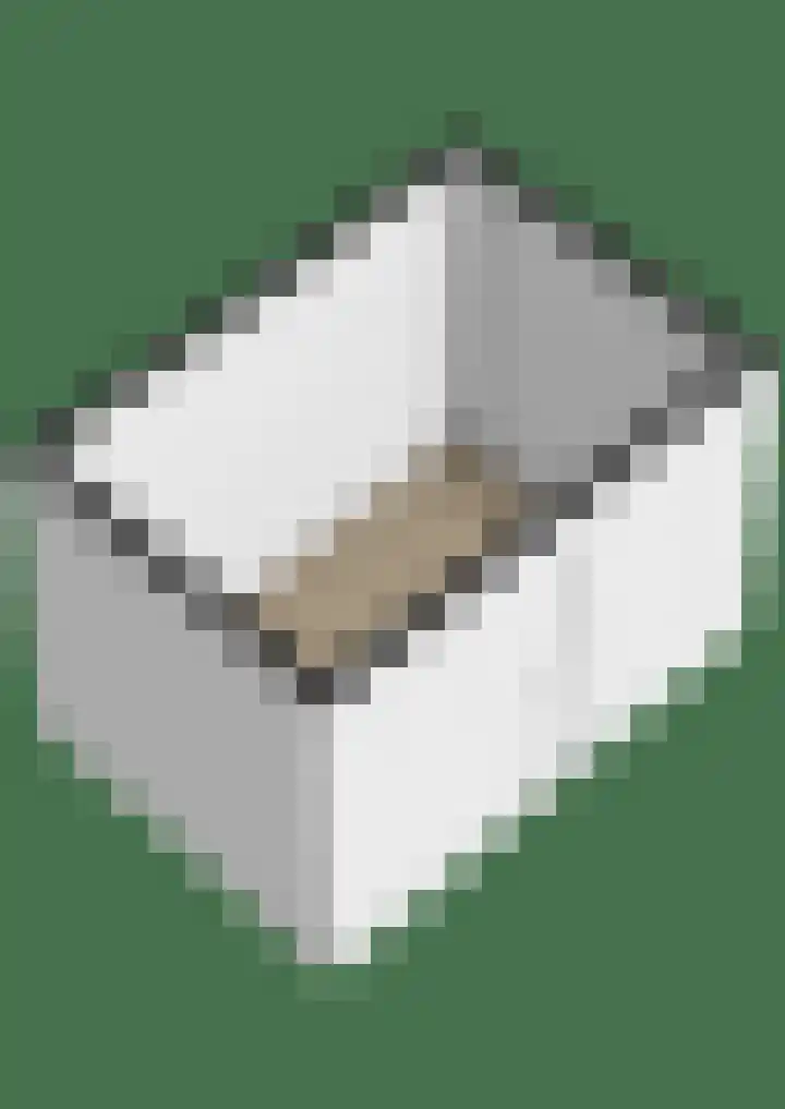 Kalander 38 Wormer thumbnail 33