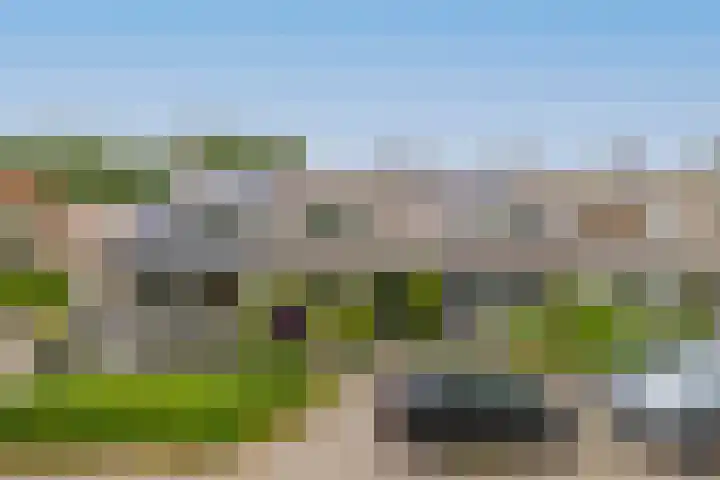 Kalander 38 Wormer thumbnail 38