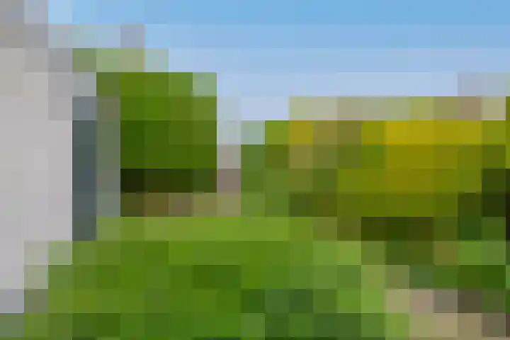 Kalander 38 Wormer thumbnail 4