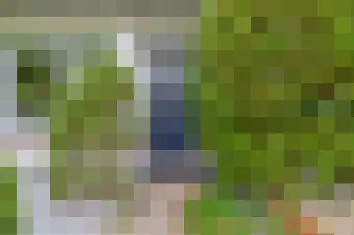 Kalander 38 Wormer thumbnail 8
