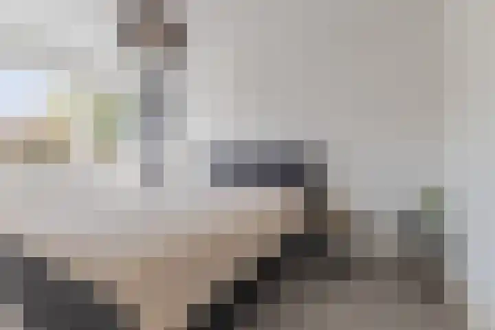 Kalanderstraat 7 D Geldrop thumbnail 14