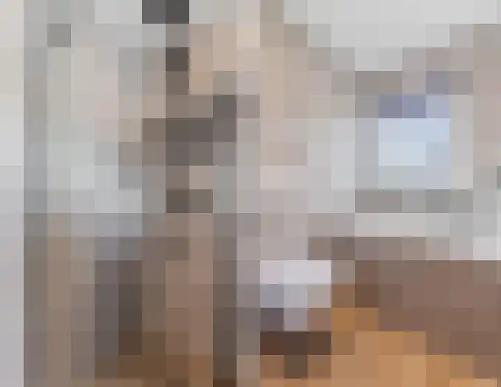 Kalanderstraat 7 D Geldrop thumbnail 20