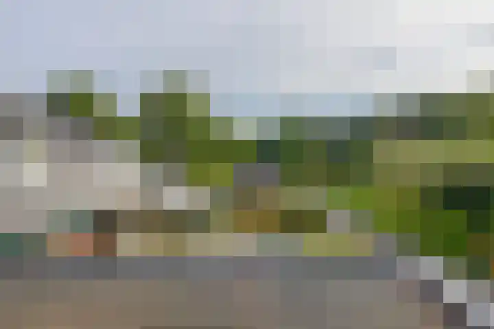 Kaldersedijk 8 Helmond thumbnail 23