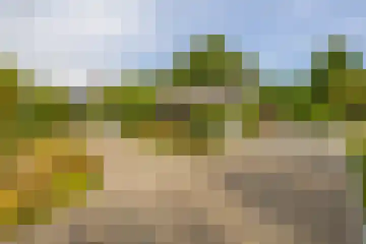 Kaldersedijk 8 Helmond thumbnail 49