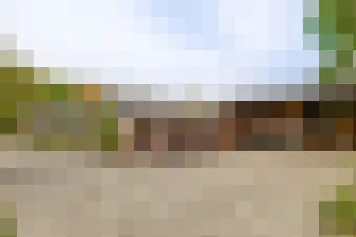 Kaldersedijk 8 Helmond thumbnail 58