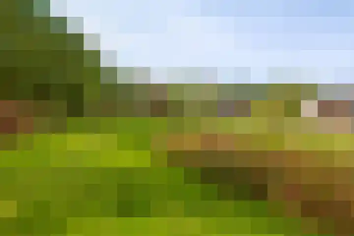 Kaldersedijk 8 Helmond thumbnail 59