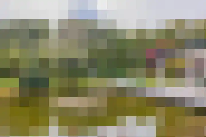 Kaldersedijk 8 Helmond thumbnail 61