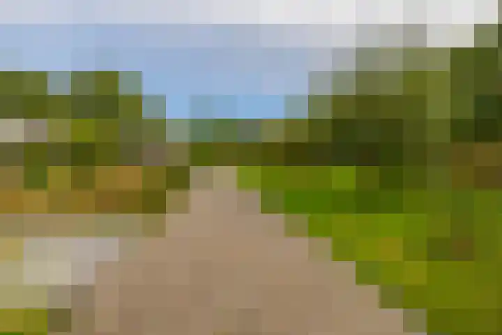 Kaldersedijk 8 Helmond thumbnail 63