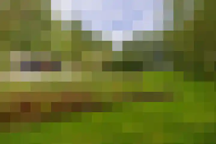 Kaldersedijk 8 Helmond thumbnail 67