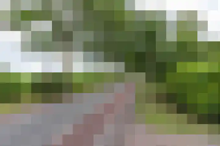 Kaleweg 9 Opende thumbnail 105