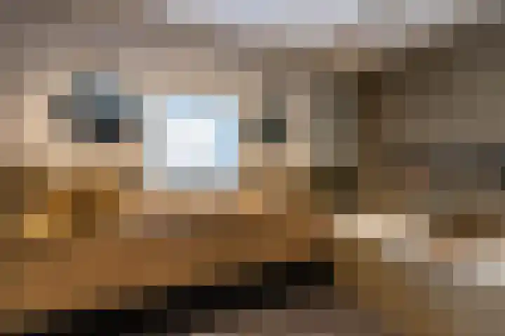 Kaleweg 9 Opende thumbnail 21