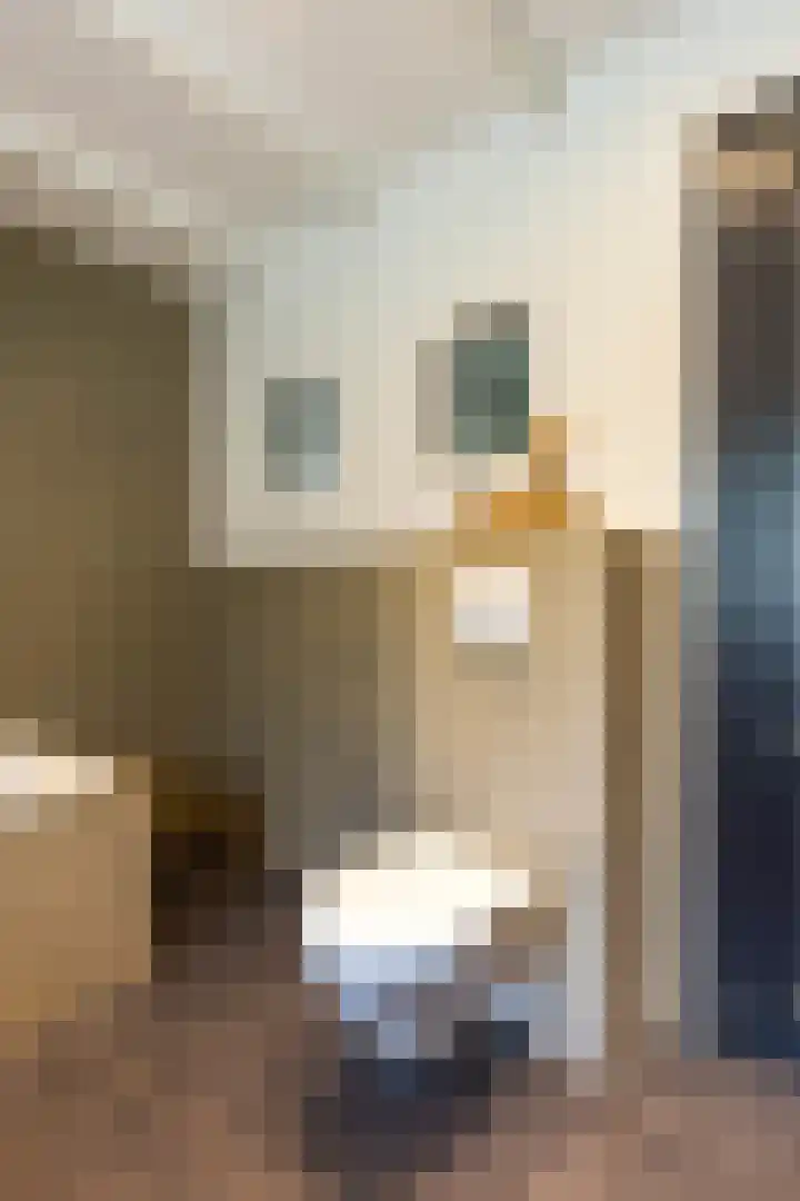 Kaleweg 9 Opende thumbnail 25