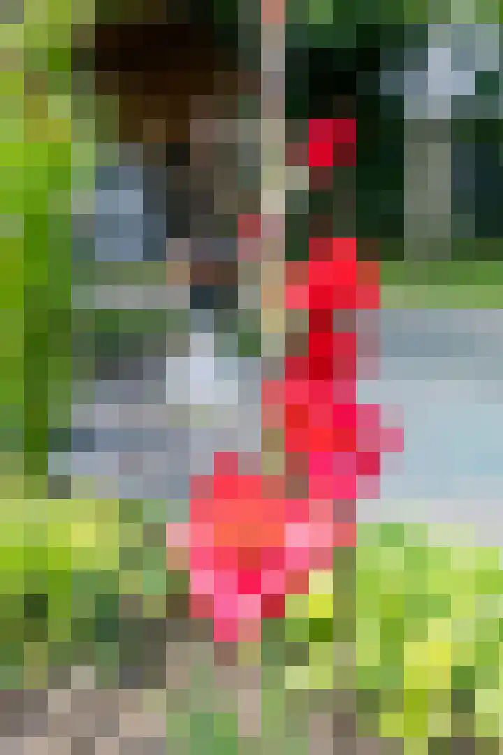 Kaleweg 9 Opende thumbnail 59