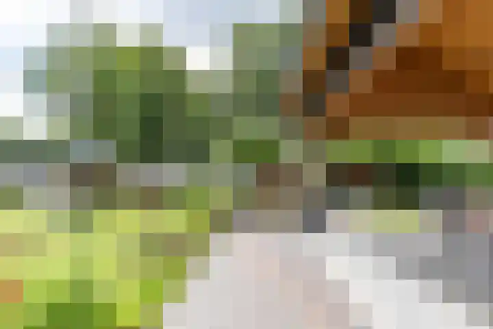 Kaleweg 9 Opende thumbnail 61