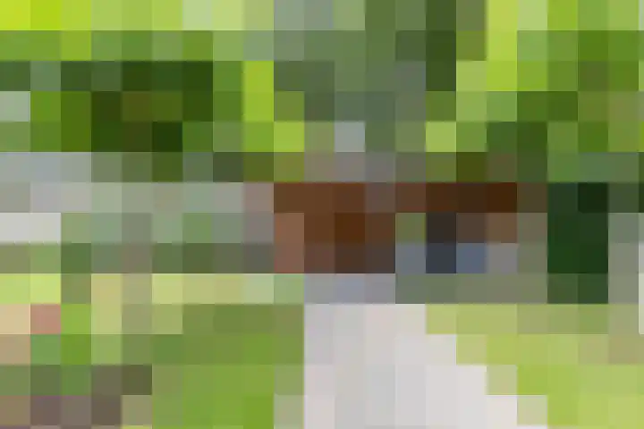 Kaleweg 9 Opende thumbnail 62