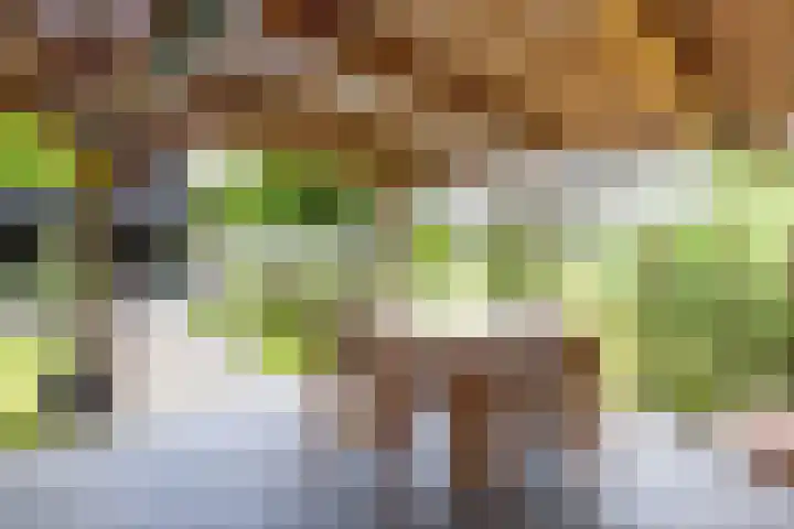 Kaleweg 9 Opende thumbnail 65