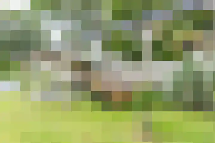 Kaleweg 9 Opende thumbnail 67