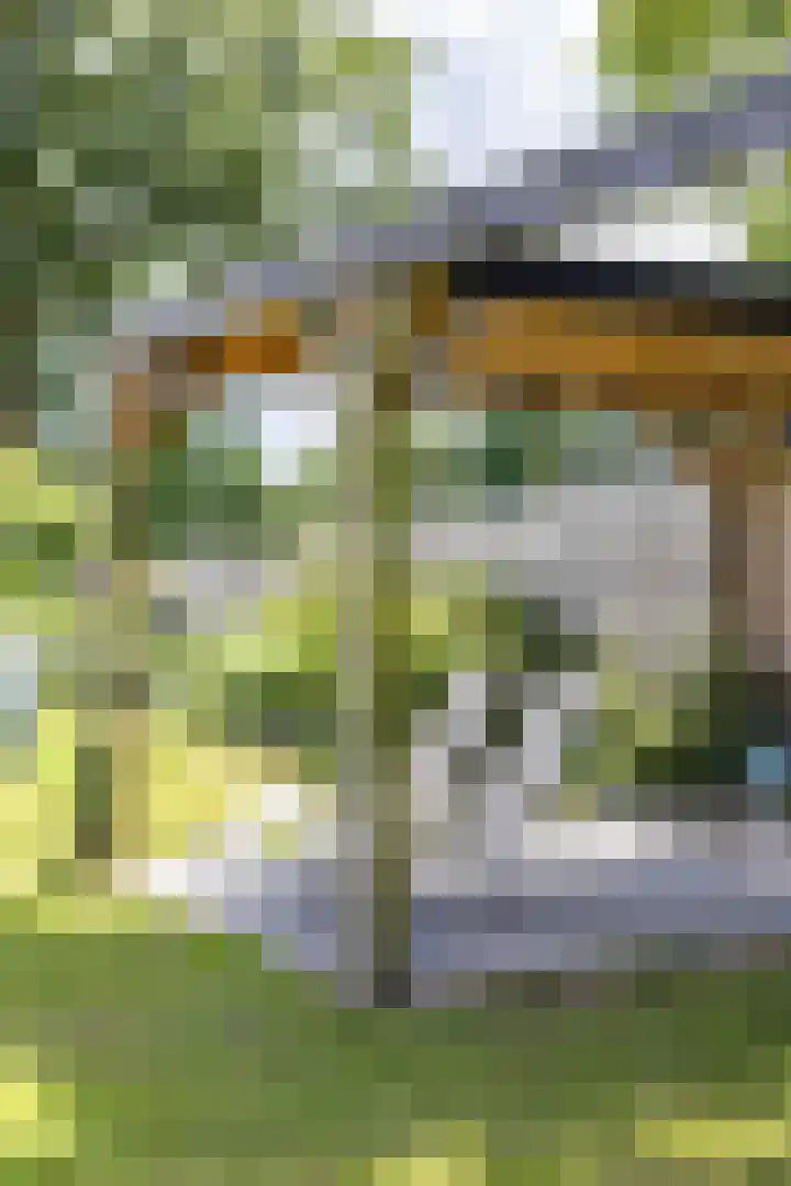 Kaleweg 9 Opende thumbnail 69