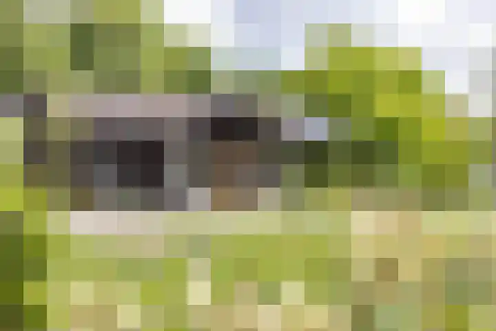 Kaleweg 9 Opende thumbnail 72