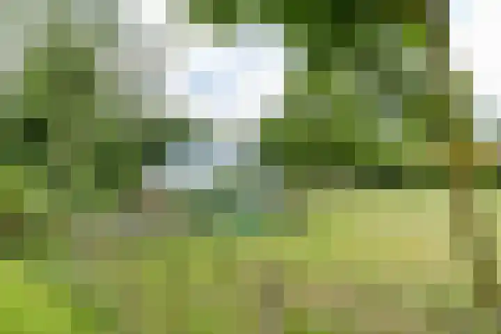 Kaleweg 9 Opende thumbnail 80