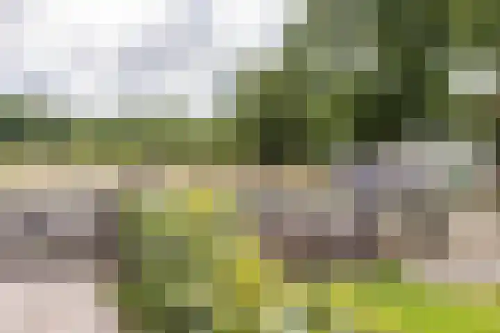 Kaleweg 9 Opende thumbnail 84