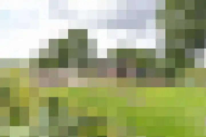 Kaleweg 9 Opende thumbnail 88